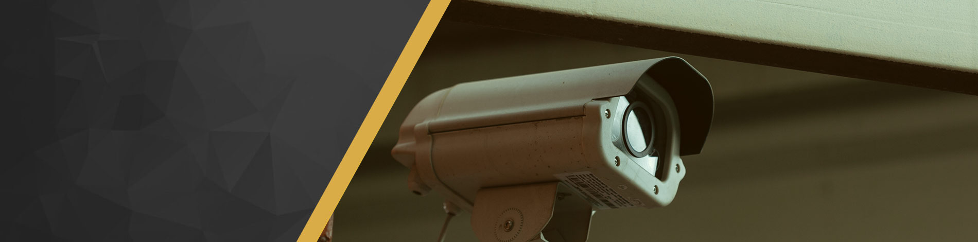 Electronic Security